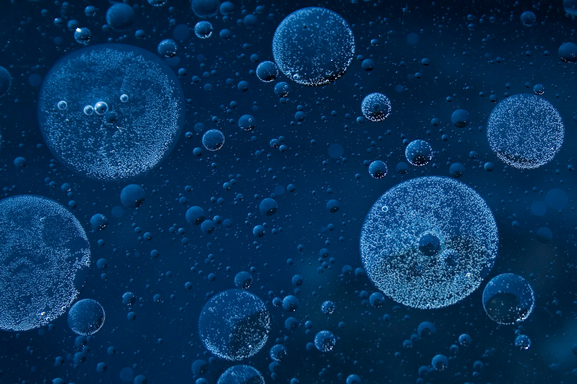 vincent-botta-84PTCoyzRBA-unsplash